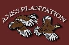 Ames Plantation